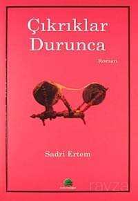 Çıkrıklar Durunca - Salkımsöğüt Yayınları