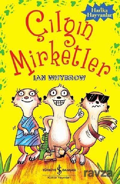 Çılgın Mirketler - İş Bankası Yayınları