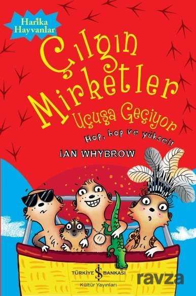 Çılgın Mirketler Uçuşa Geçiyor - İş Bankası Yayınları