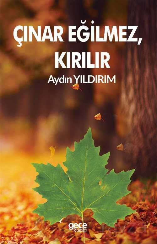 Çınar Eğilmez, Kırılır - Gece Kitaplığı