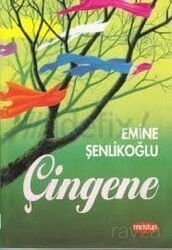 Çingene - Mektup Yayınları