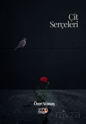 Çit Serçeleri - 1
