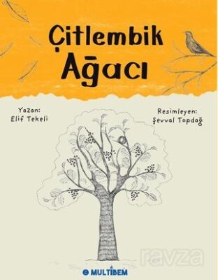 Çitlembik Ağacı - 1