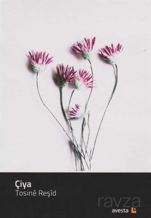 Çiya - Avesta Basın Yayın