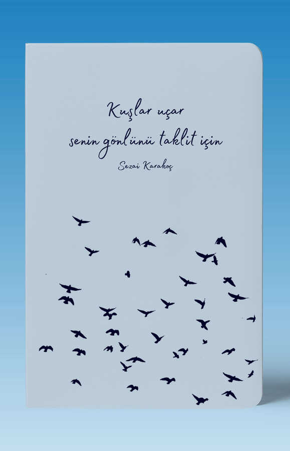 Çizgisiz - Kuşlar Uçar Defteri - Dava Adamı Yayınları