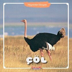 Çöl / Hayvanlar Dünyası - Yumurcak Yayınları