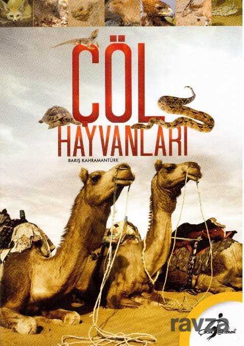 Çöl Hayvanları - 1