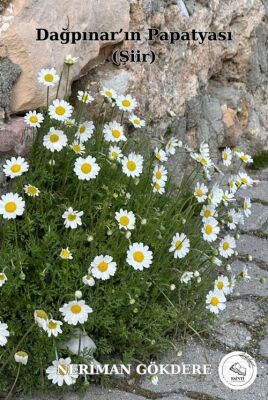 Dağpınar'ın Papatyası - 1