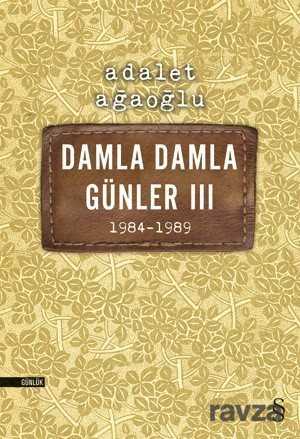 Damla Damla Günler 3 (1984-1989) - Everest Yayınları