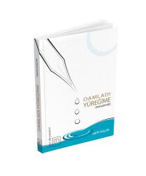 Damladı Yüreğime - Mavi Sıla Yayınevi