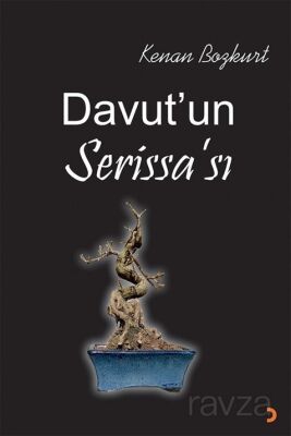 Davut'un Serissa'sı - 1