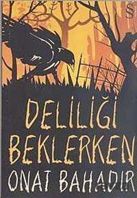 Deliliği Beklerken - Everest Yayınları