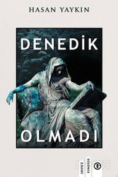 Denedik Olmadı - Gayri Nizami Kitap