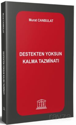 Destekten Yoksun Kalma Tazminatı - 1