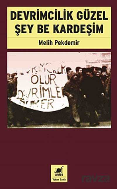 Devrimcilik Güzel Şey Be Kardeşim - Ayrıntı Yayınları