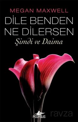 Dile Benden Ne Dilersen: Şimdi ve Daima (Dile Benden Ne Dilersen Serisi 2) - 1