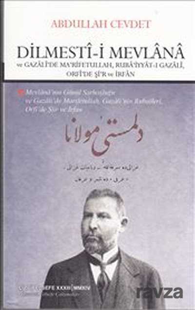 Dilmesti-i Mevlana ve Gazali'de Marifetullah Rubaiyyat-ı Gazali Orfi'de Şir ve İrfan - 1