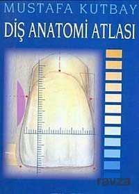 Diş Anatomi Atlası - 1