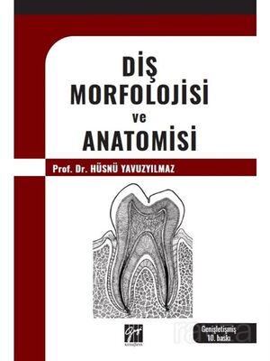 Diş Morfolojisi ve Anatomisi - 1