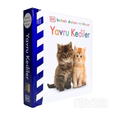 DK Bebek Dokun ve Hisset Serisi - Yavru Kediler - 1