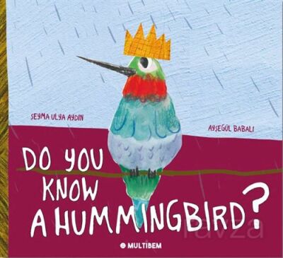 Do You Know A Hummingbird? - 1