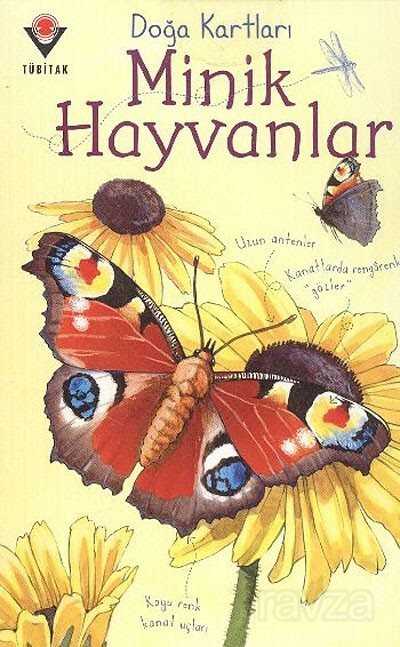 Doğa Kartları / Minik Hayvanlar - 1