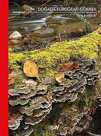 Doğada Fotoğrafı Görmek - Say Yayınları