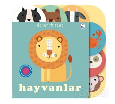 Dokun - Hisset / Hayvanlar - 1