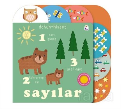 Dokun - Hisset / Sayılar - 1