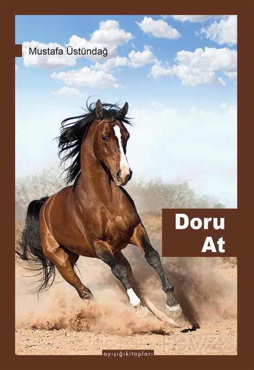 Doru At - Ayışığı Kitapları