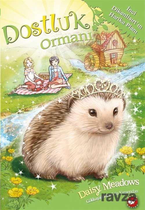 Dostluk Ormanı 6 / İnci Dikenlisırt'ın Harika Planı - Beyaz Balina Yayınları