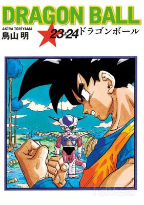 Dragon Ball 23-24 - Gerekli Şeyler