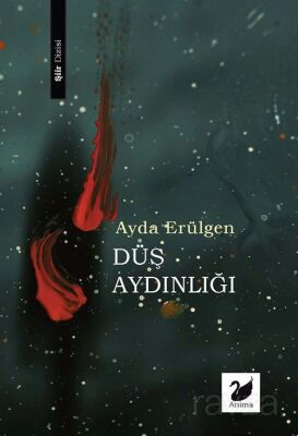 Düş Aydınlığı - 1