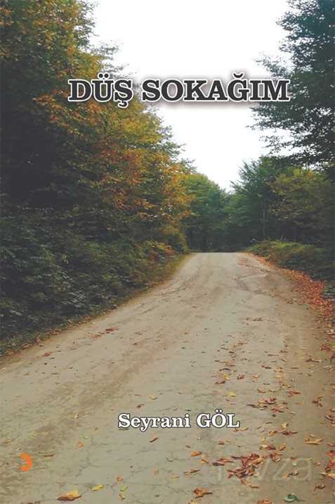 Düş Sokağım - 1