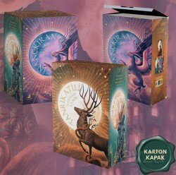 Düşmüş Tanrılar Serisi - 3 Kitaplık Kutulu Set (Karton Kapak) - Olimpos Yayınları