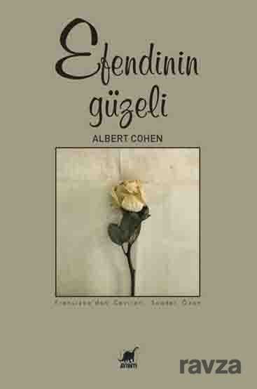 Efendinin Güzeli - Ayrıntı Yayınları