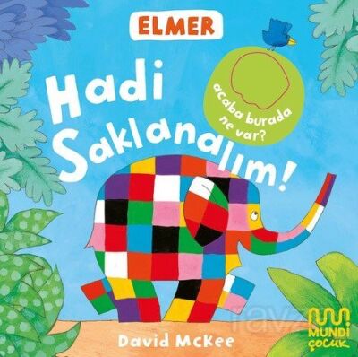 Elmer Kütüphanesi / Hadi Saklanalım! - 1