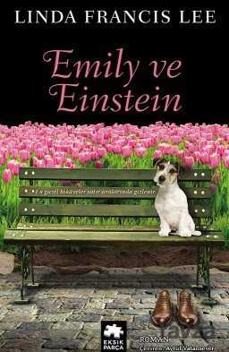 Emily ve Einstein - Eksik Parça