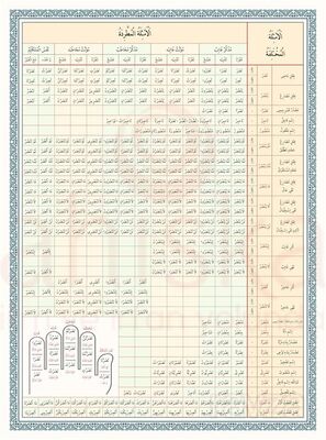 Emsile Bina Şeması Renkli - 1