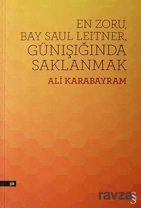 En Zoru, Bay Saul Leitner, Gün Işığında Saklanmak - Everest Yayınları