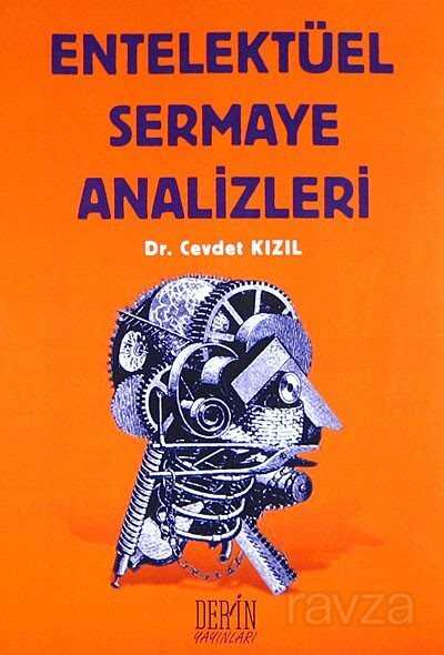 Entelektüel Sermaye Analizleri - 1