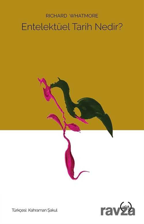 Entelektüel Tarih Nedir ? - Islık Yayınları