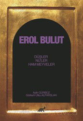 Erol Bulut - Paradigma Akademi Yayınları