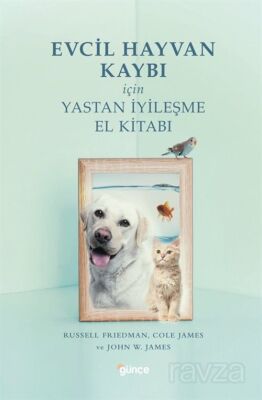 Evcil Hayvan Kaybı İçin Yastan İyileşme - 1