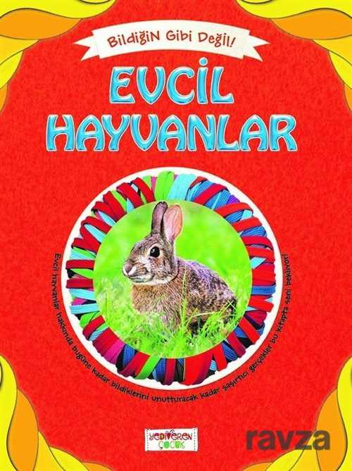 Evcil Hayvanlar / Bildiğin Gibi Değil - Yediveren Çocuk