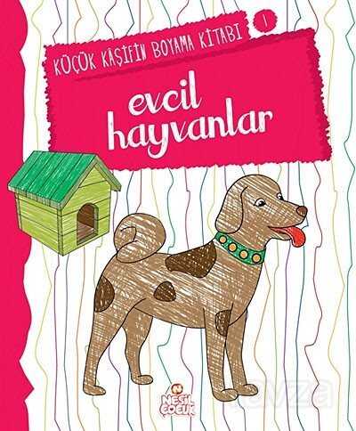 Evcil Hayvanlar / Küçük Kaşifin Boyama Kitabı -1 - Nesil Çocuk Yayınları