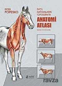 Evcil Hayvanların Topografik Anatomi Atlası Popesko - Nobel Tıp Kitabevleri