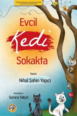 Evcil Kedi Sokakta - 1