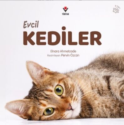 Evcil Kediler - 1