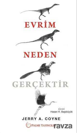 Evrim Neden Gerçektir - Palme Yayıncılık